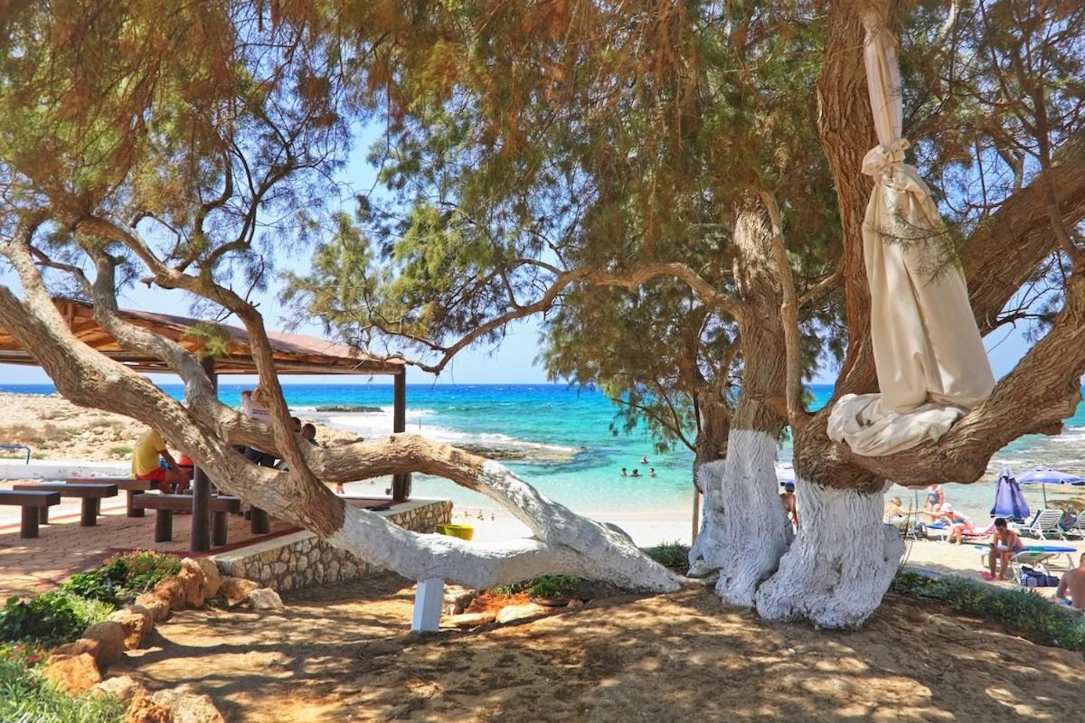 Beachfront Luxury Villa Idania Ayia Napa Ngoại thất bức ảnh